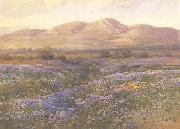 unknow artist Lupine in Kern County oil painting picture wholesale